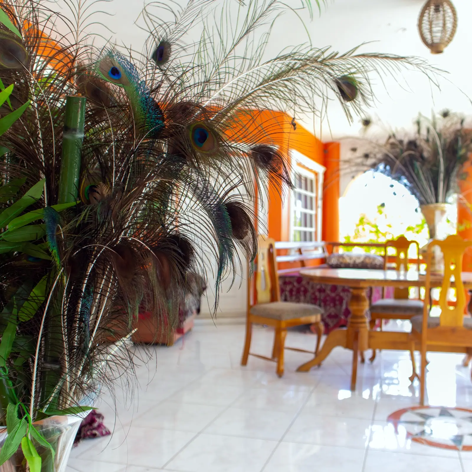 gail-goldman-in-jamaica-04