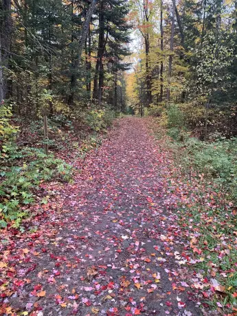 autum trail v2